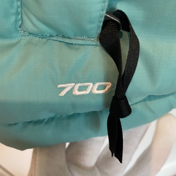 North Face NWT Retro Down Vest - Picture 2 of 8